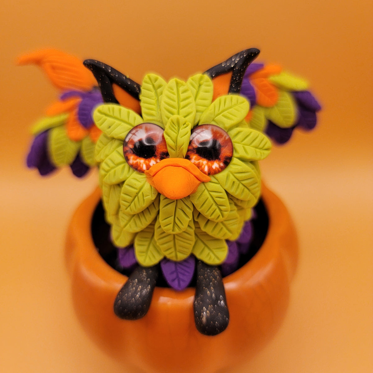 Pumpkin Griffin