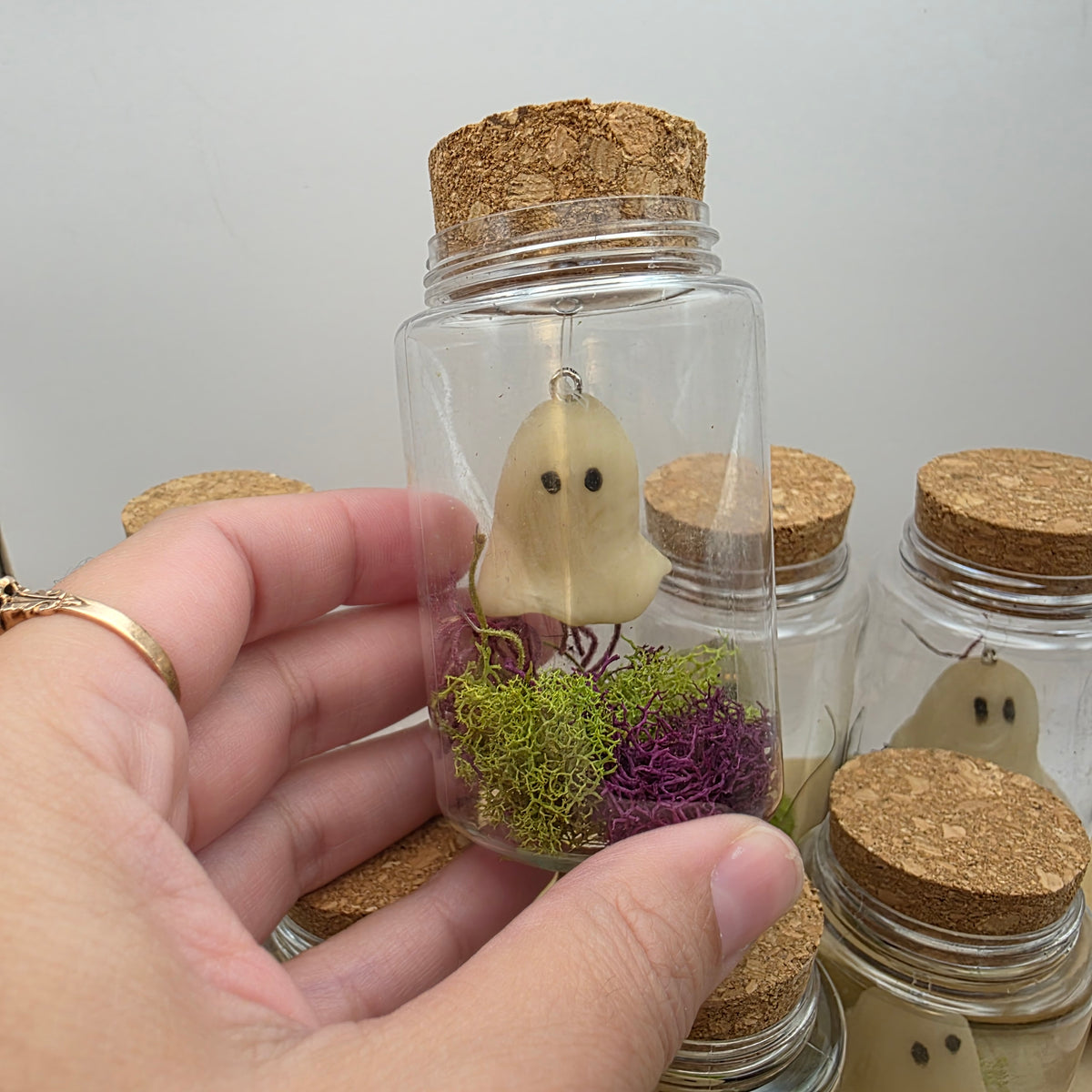 Pet Ghosts