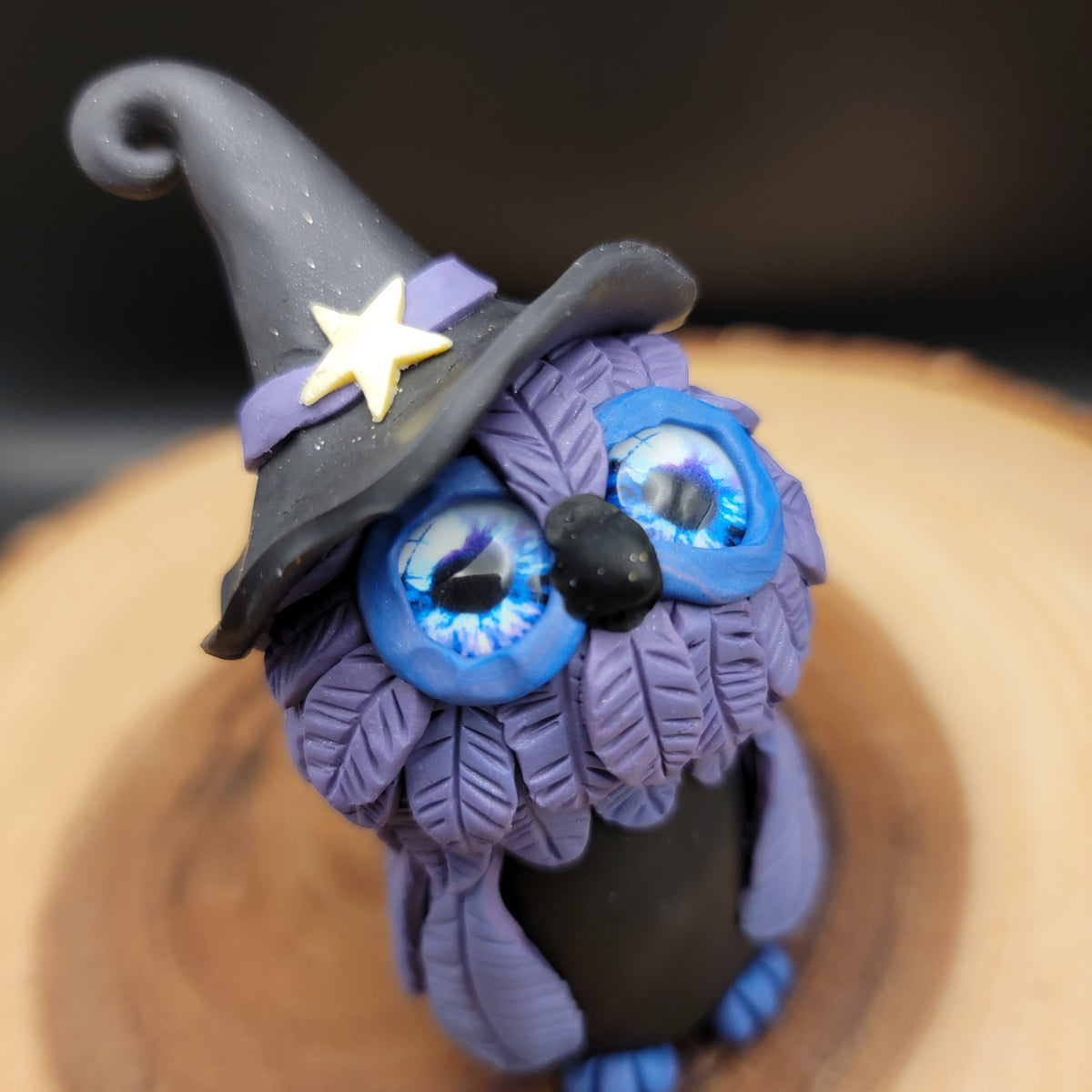 Witchy Owl Purple & Black