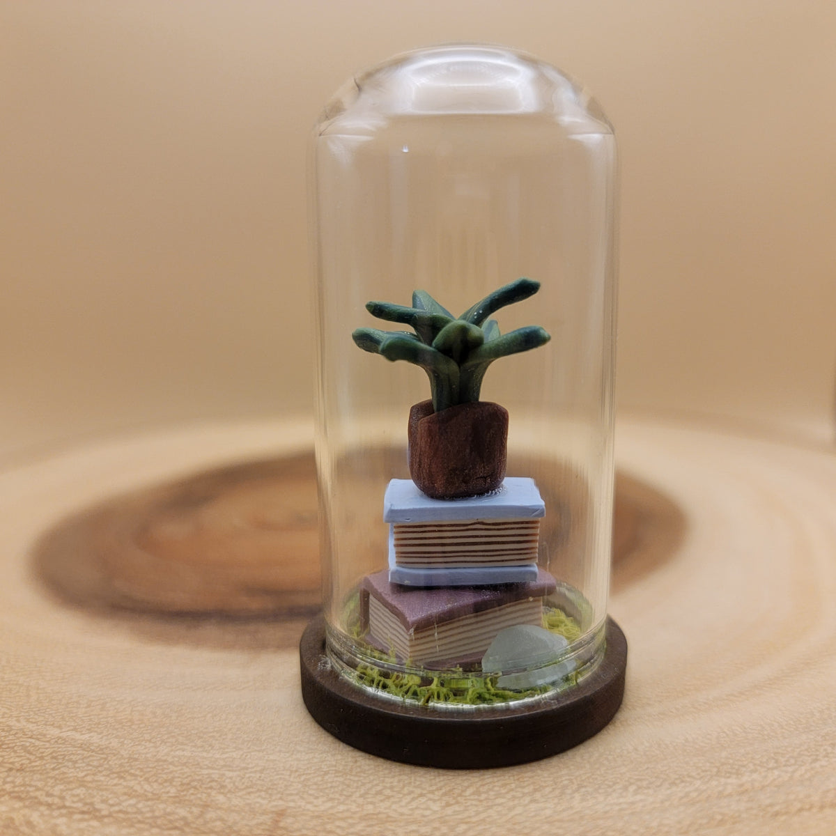 Miniature Dome with Plant (1)