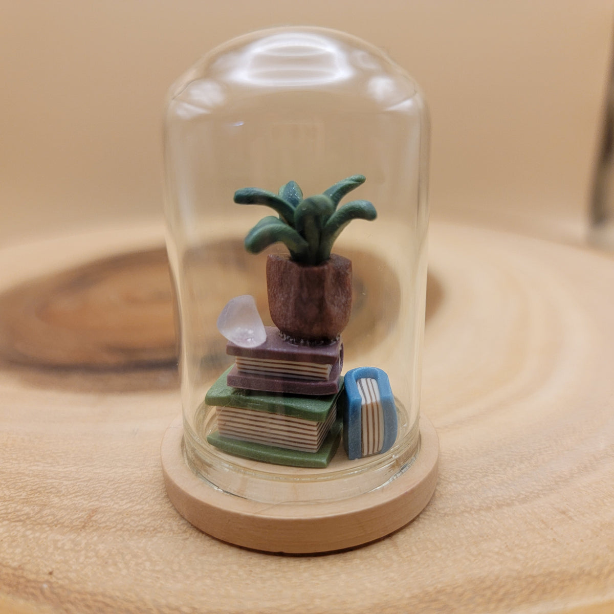 Miniature Dome with Plant (2)