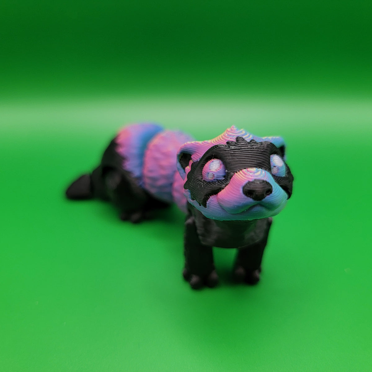 Rainbow Ferret