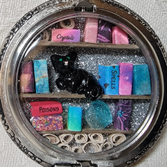 Sparkling Silver Library with Black Cat